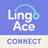 LingoAce Connect icon