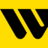 Western Union Money Transfer icon