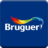 Bruguer Visualizer icon