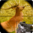 Sniper Hunter: Wild Deer Hunt icon