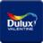 Dulux Valentine Visualizer icon